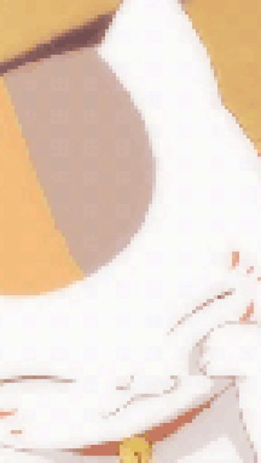 圆鼓鼓 肥嘟嘟 夏目友人帐猫咪老师GIF表情包