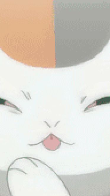 圆鼓鼓 肥嘟嘟 夏目友人帐猫咪老师GIF表情包