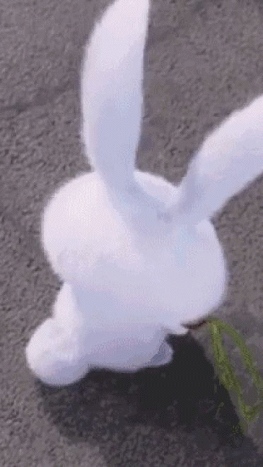 爱宠大机密 贱萌小白兔 GIF表情包