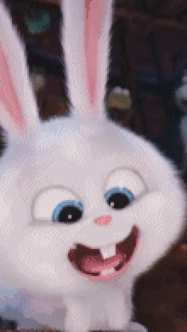 爱宠大机密 贱萌小白兔 GIF表情包