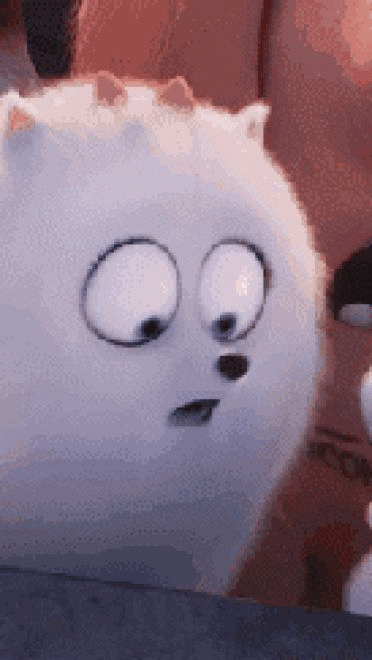 爱宠大机密 贱萌小白兔 GIF表情包