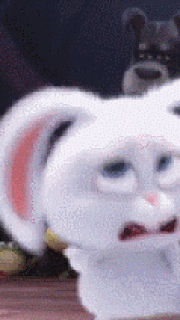 爱宠大机密 贱萌小白兔 GIF表情包