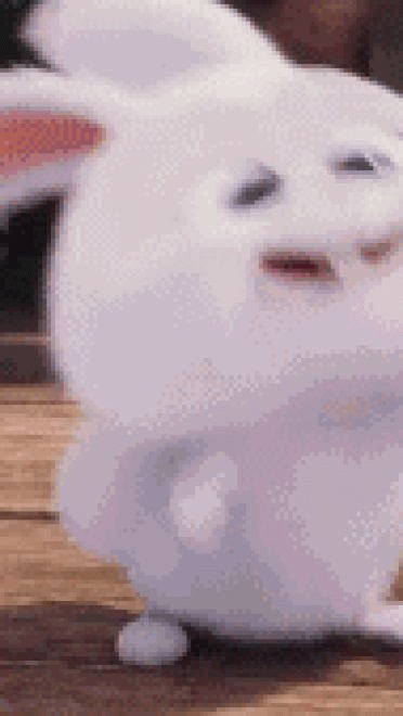爱宠大机密 贱萌小白兔 GIF表情包