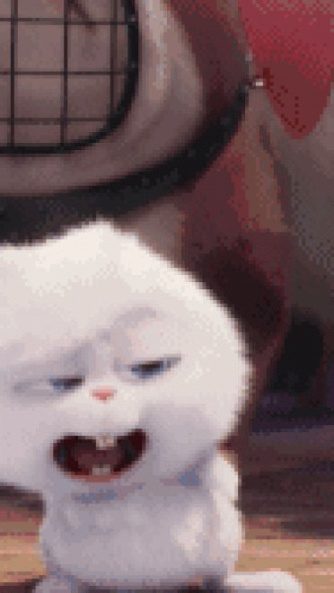 爱宠大机密 贱萌小白兔 GIF表情包