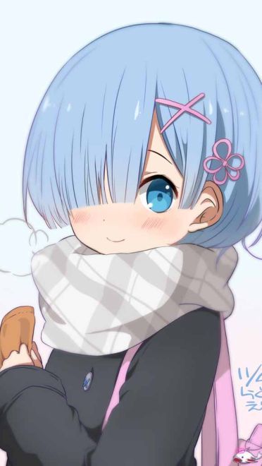 蕾姆党头顶青天 蕾姆最新本子图手机壁纸下载