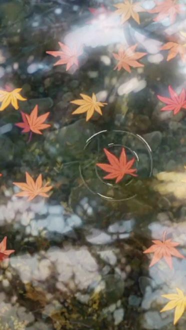 你的名字 高清电脑壁纸百度云下载(1)