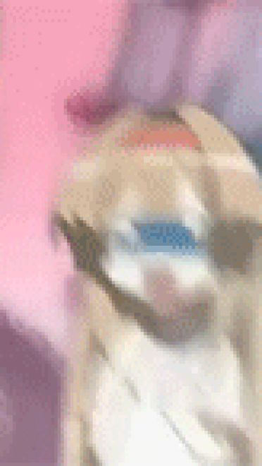 濑户之花嫁表情包[51P]