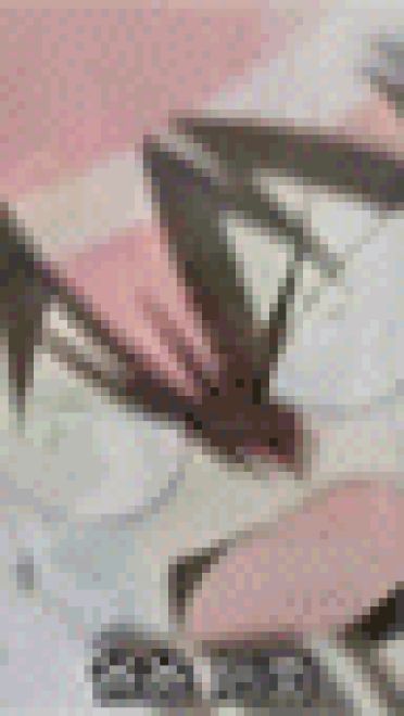 濑户之花嫁表情包[51P]