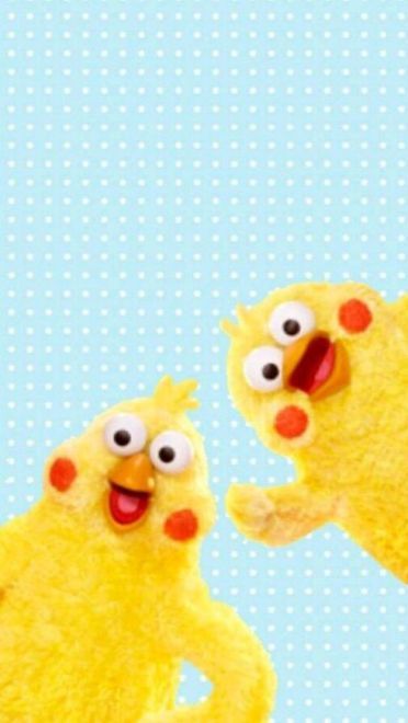 新晋网红 鹦鹉兄弟手机壁纸收集(1)