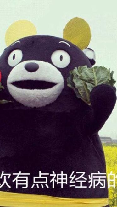 熊本熊-你喜欢跳起来的我吗？ 手机主题