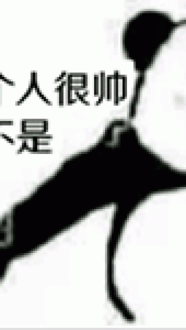 斗图都不过？来我这不下载