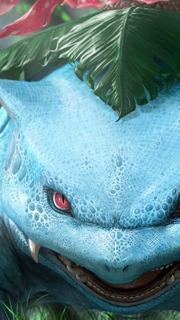 写实风口袋妖怪 超清晰电脑壁纸