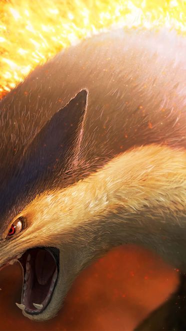 写实风口袋妖怪 超清晰电脑壁纸