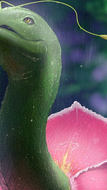 写实风口袋妖怪 超清晰电脑壁纸