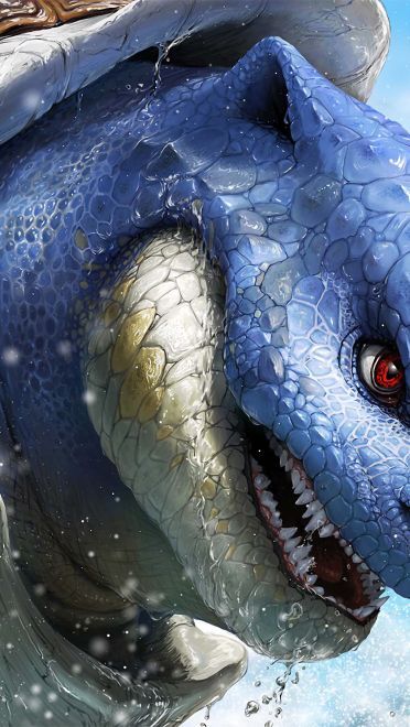 写实风口袋妖怪 超清晰电脑壁纸