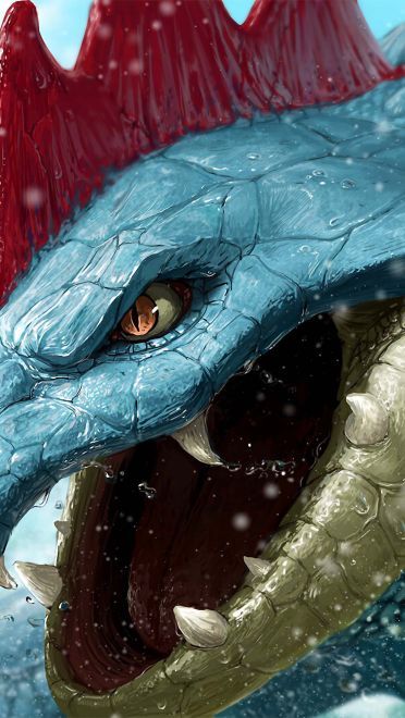 写实风口袋妖怪 超清晰电脑壁纸