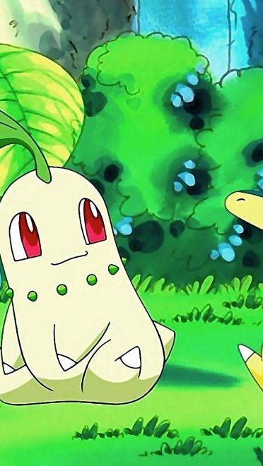 PM口袋妖怪 高清电脑壁纸合集下载