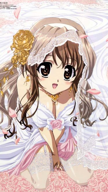 乃木坂春香的秘密 手机壁纸