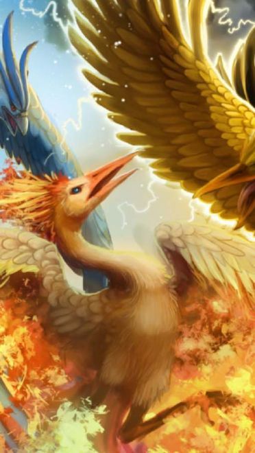 口袋妖怪 精选电脑壁纸合集