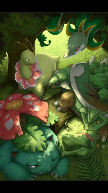 口袋妖怪 精选电脑壁纸合集