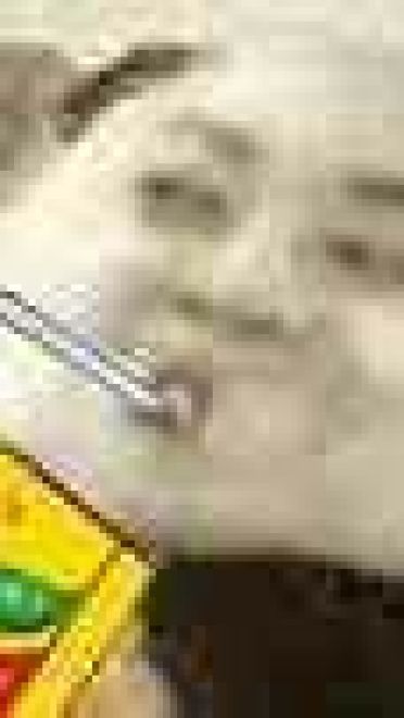 网上很火的熊猫表情包下载