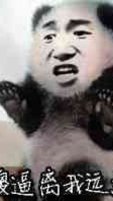 网上很火的熊猫表情包下载