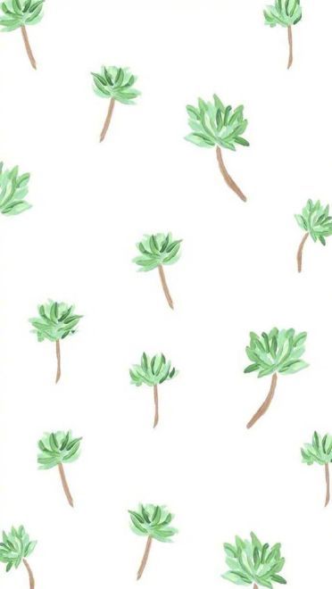 夏天的味道 小清新图片手机壁纸