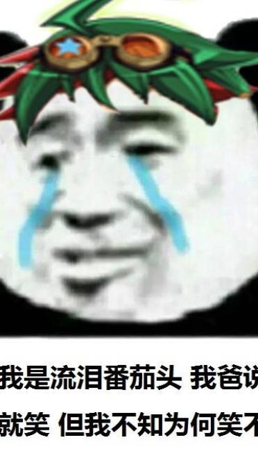 流泪熊猫头qq微信聊天表情包