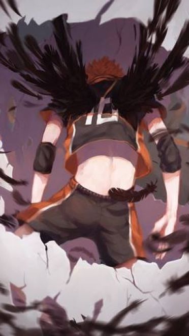 《排球少年！！》日向翔阳手机主题