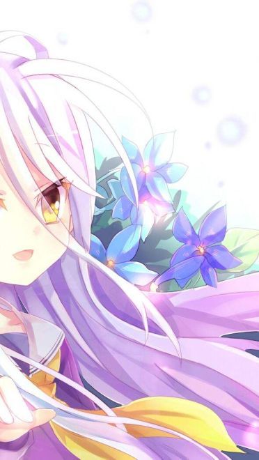 《NO GAME NO LIFE游戏人生》白手机主题