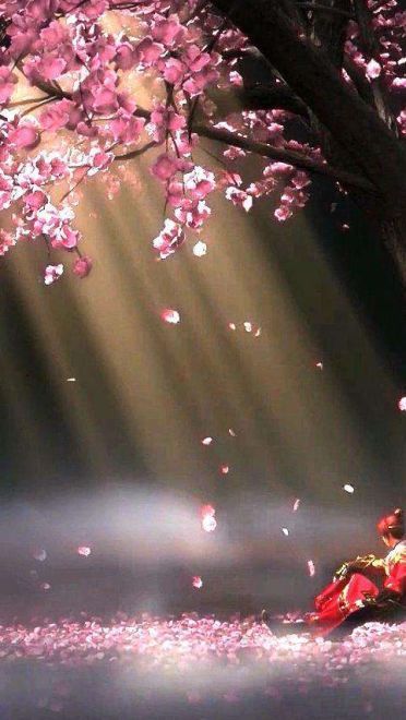 少年锦衣卫萌化手机主题