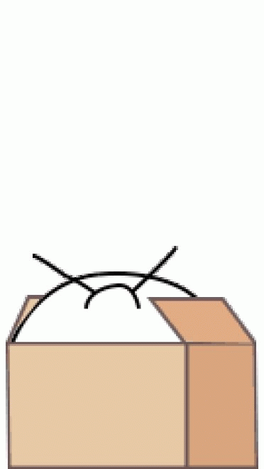 工作是我快乐 沙雕表情包