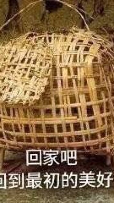 回家 沙雕表情包