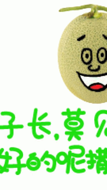 新疆哈密瓜 表情包