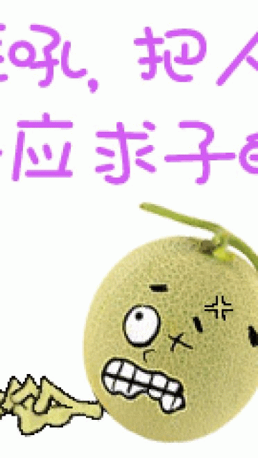 新疆哈密瓜 表情包
