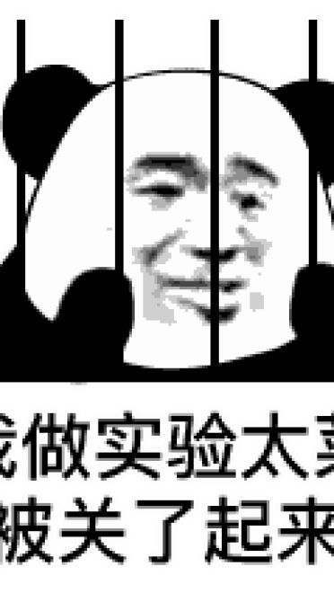 菜狗qq微信表情包