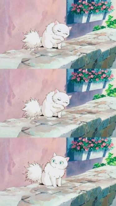 宫崎骏壁纸，赶紧码了吧！