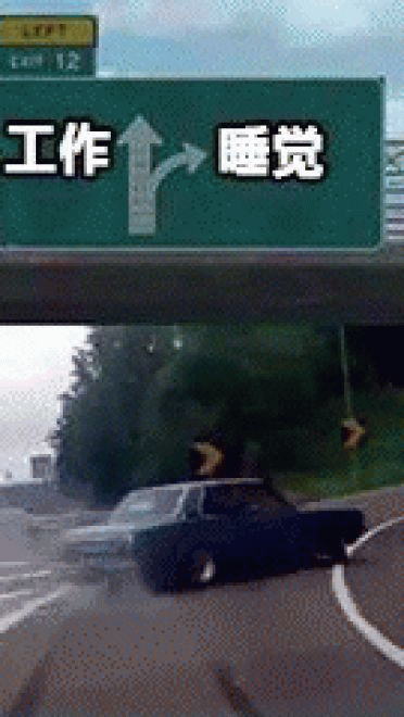 最全抖音无水印分叉路口高速右转表情包熊本熊沙雕斗图