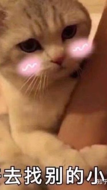 撩妹可爱呆萌猫斗图沙雕表情包