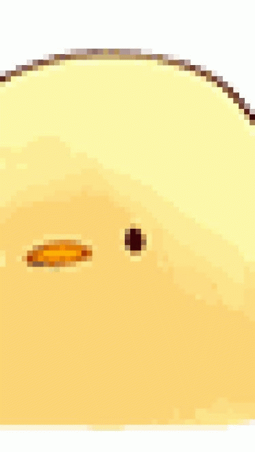 小鸡卖萌斗图表情包