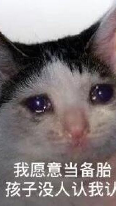 网恋么你可能是那个备胎哟