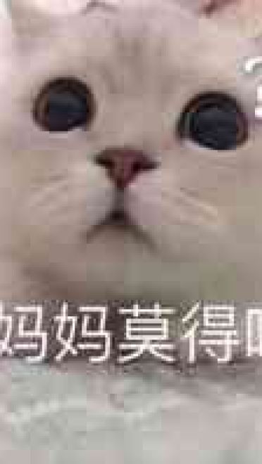 莫得感情搞笑斗图表情包