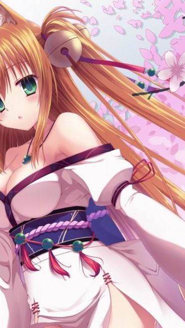 各种眼神 桌面壁纸 不同的世界