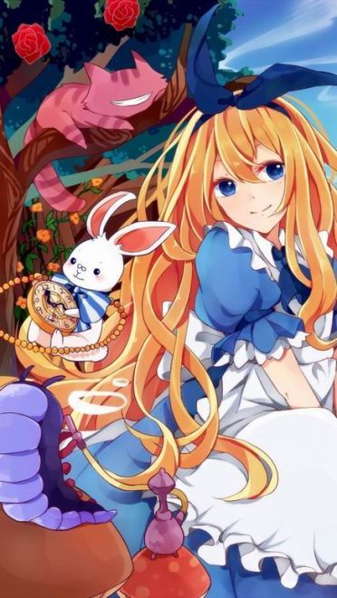 一花一世界 手机壁纸 这是只属于我的精彩