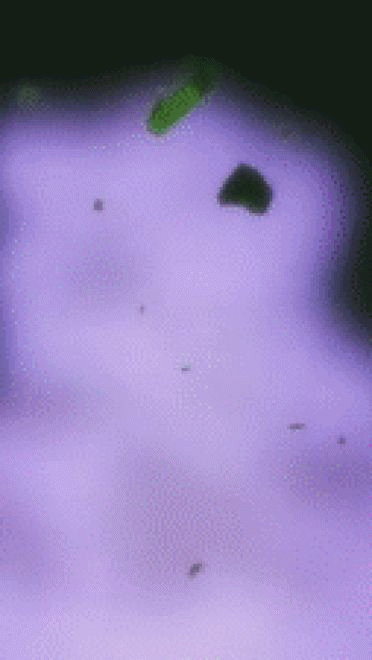 【安卓】狂化黑岩IBRS开机动画   miui和非miui系统