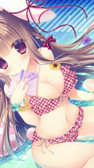 桌面壁纸清凉夏日