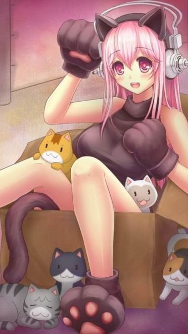 猫爪卖萌手机壁纸