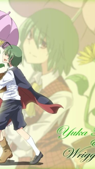 【萌娘资源】东方project萌娘资源分享 风见幽香壁