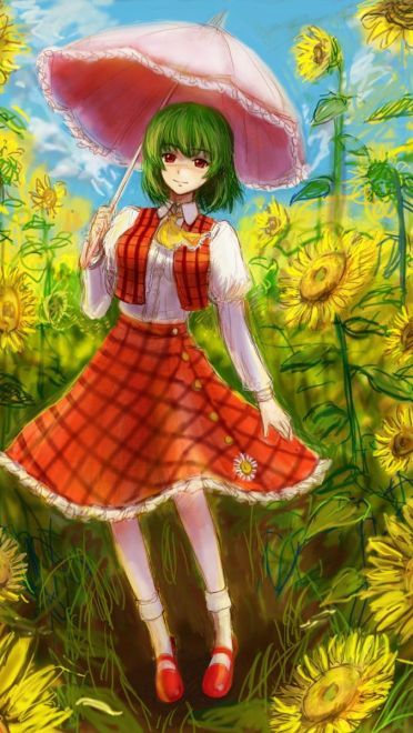 【萌娘资源】东方project萌娘资源分享 风见幽香壁