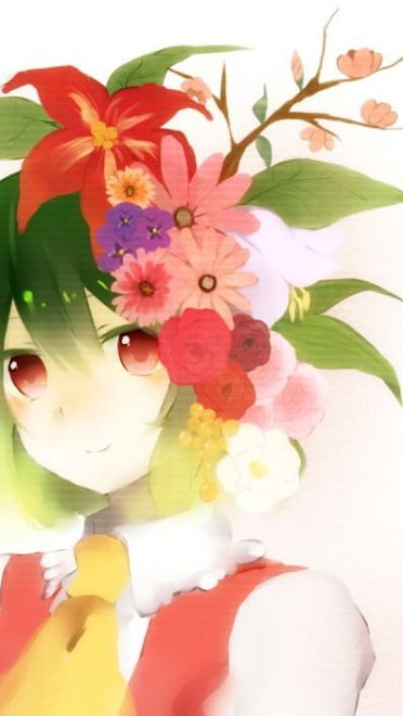 【萌娘资源】东方project萌娘资源分享 风见幽香壁